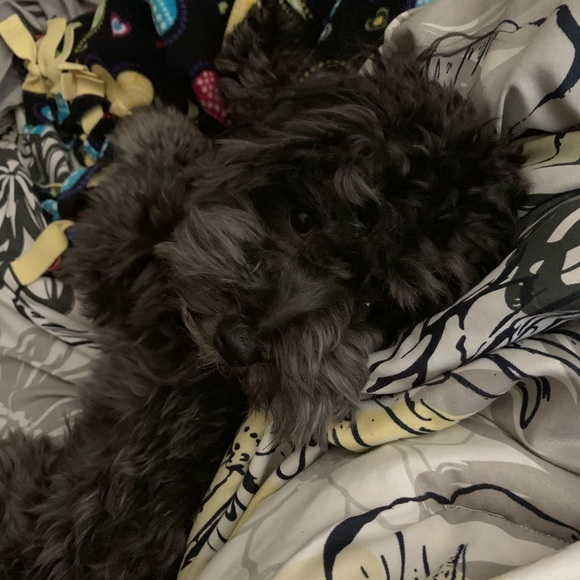 •Meet Your Posher• - Picture 8 of 8